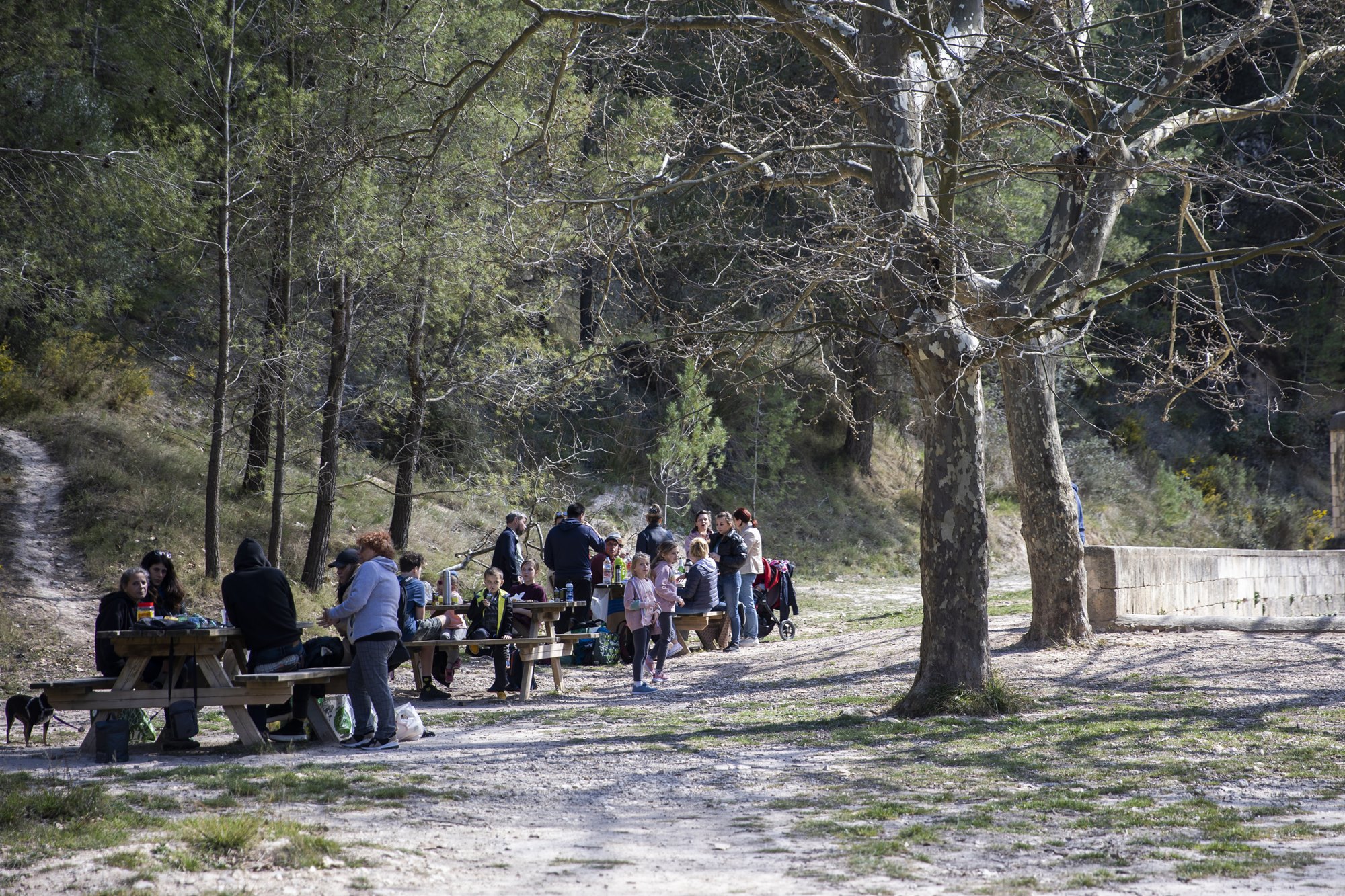 Molino Alcoy