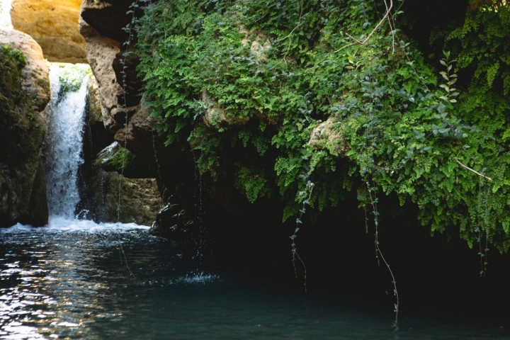 El Salto es un conjunto de pozas, saltos, cascadas donde bañarse.