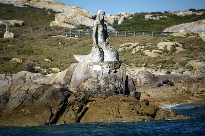 Sirena Isla Sálvora