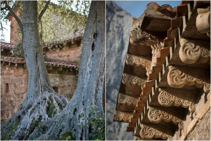 El Olivo de Doña Justa y detalle de la cornisa, que delata el origen o influencia celta.