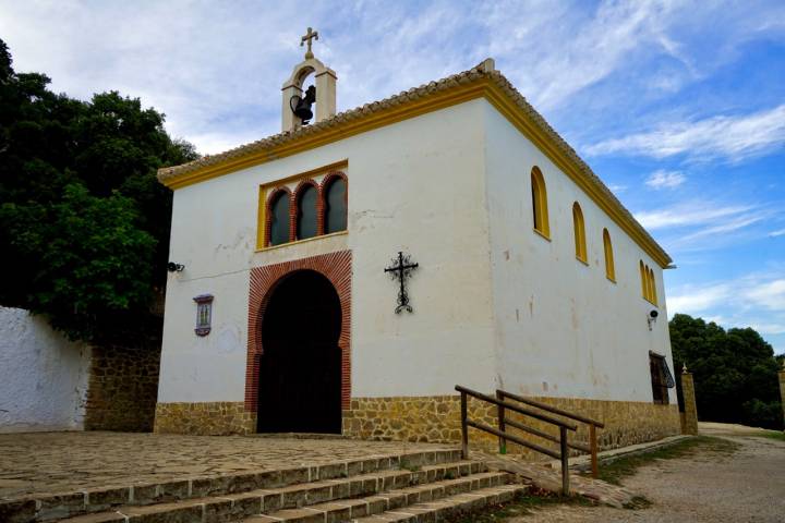 Secuoyas Granada