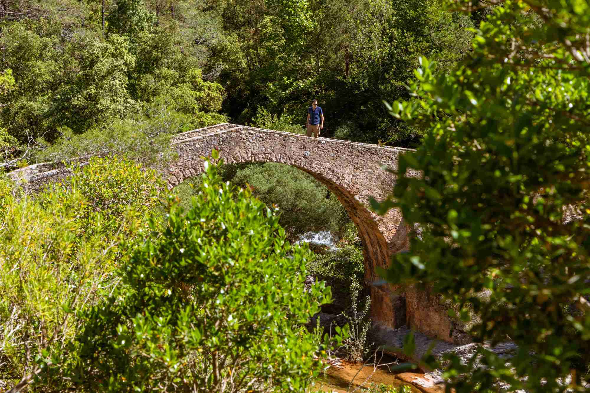 Pont del Bertran, construido en 1891 como paso de ganado.