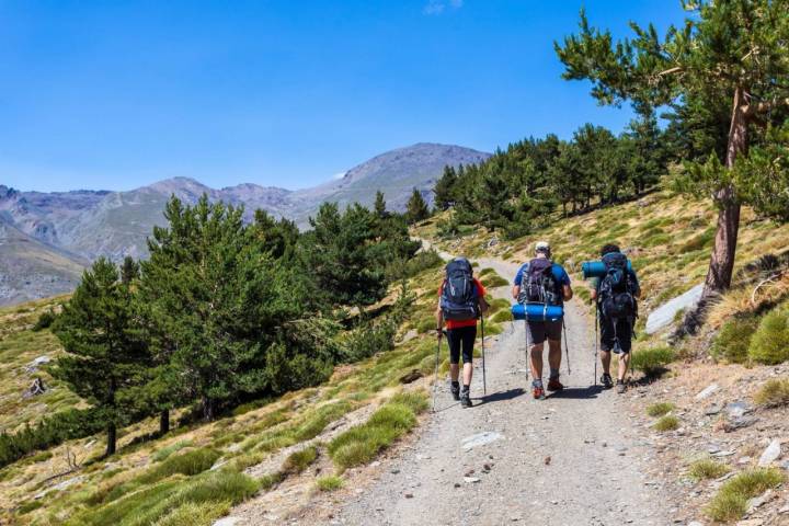 Sierra Nevada en verano. Senderismo (apertura)