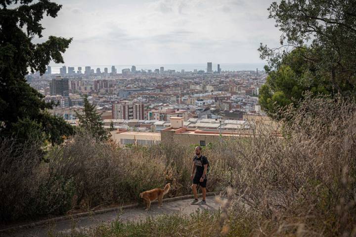 Siete Colinas Barcelona