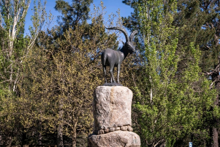 El Monumento a la Cabra Montés, inicio y fin del recorrido.