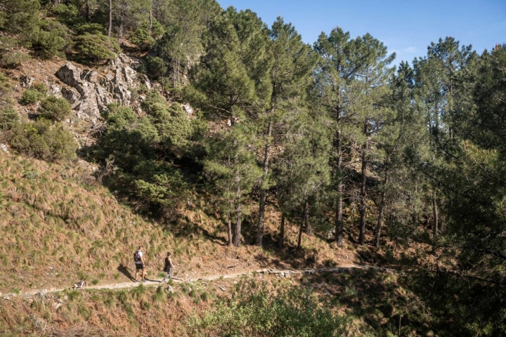 Gredos