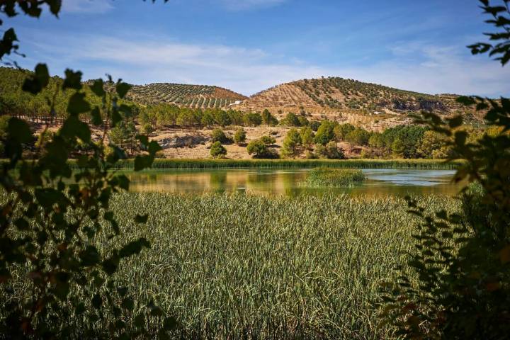 humedal de la pantaneta en alhama de granada