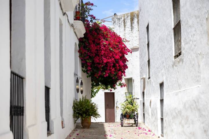 Calle con flores en Vejer de la Frontera