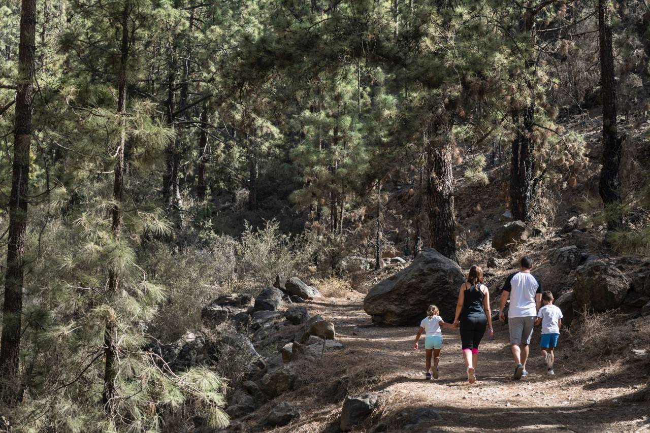 Una familia haciendo senderismo en Vilaflor de Chasna (Tenerife)