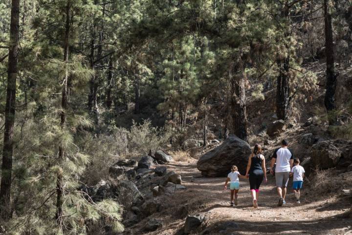 Una familia haciendo senderismo en Vilaflor de Chasna (Tenerife)