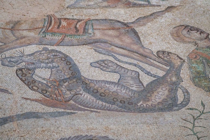 Sí, es un leopardo, guepardo o similar que quizá habitó entre nosotros. Sí, es un leopardo, guepardo o similar que quizá habitó entre nosotros.