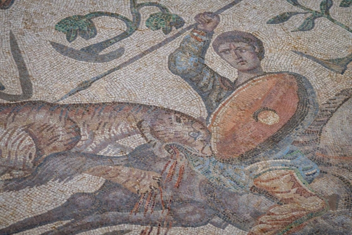 Leopardo atacando al caballo.  Leopardo atacando al caballo.