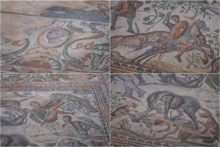 Aves-delfín, leopardos, perros, caballos. Animales africanos, algunos ya extinguidos. Aves-delfín, leopardos, perros, caballos. Animales africanos, algunos ya extinguidos.