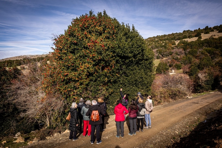 Aprendiendo un poco más sobre esta especie protegida.