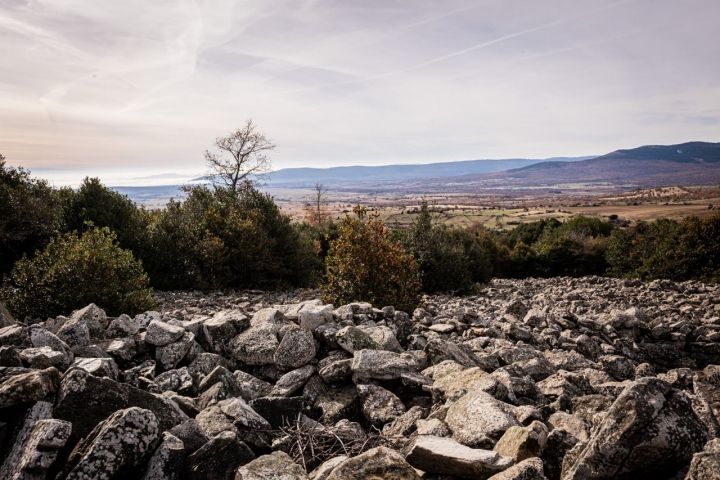 En mitad de canchal cuesta más crecer.