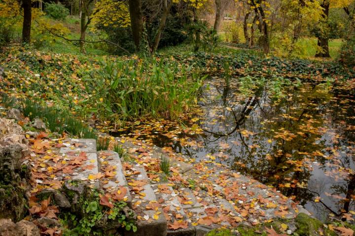 Otoño en el parque del Capricho