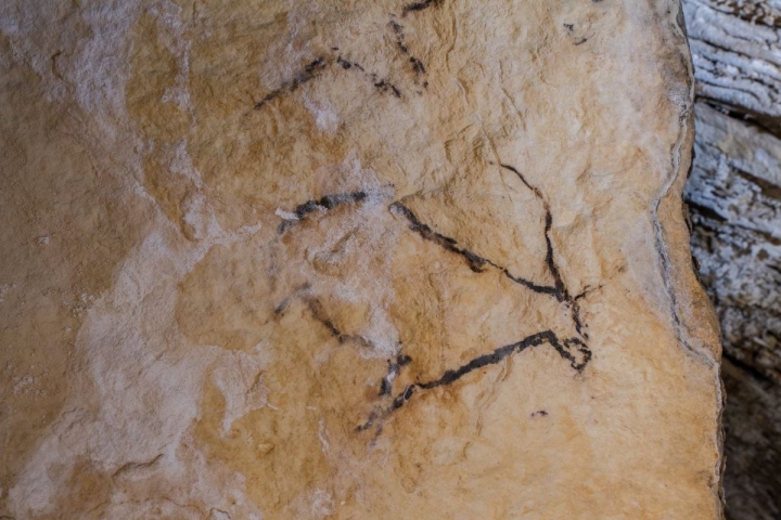 La pintura rupestre de una cabra, en la sala de las Columnas de Hércules, en las Galerías Altas. Foto: Fundación Cueva de Nerja.