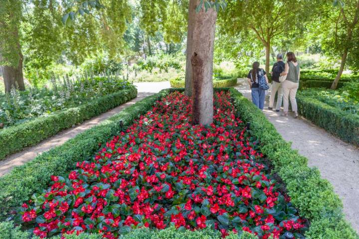 Parterre Quinta de Vista Alegre