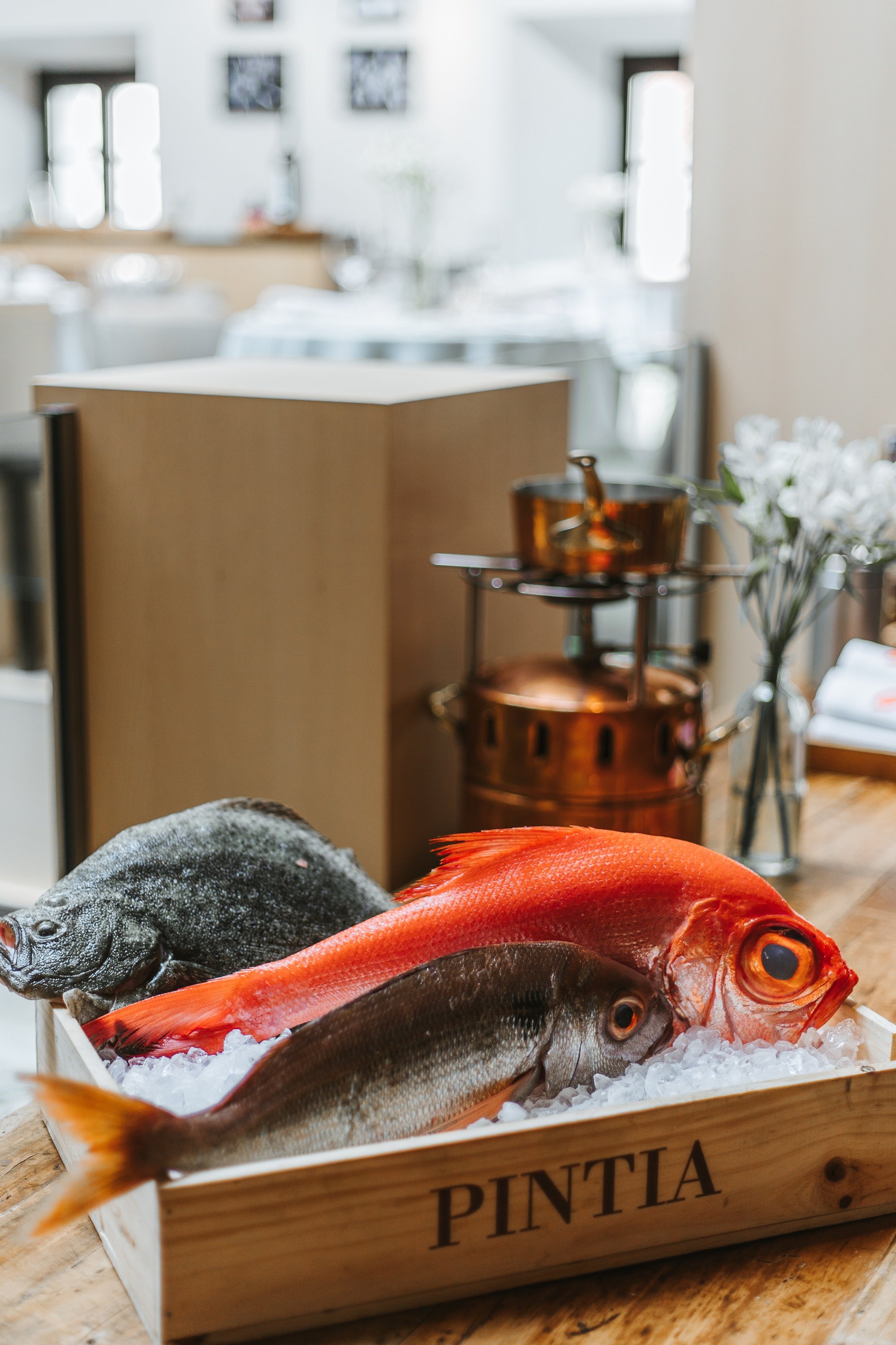 Marcela Vinos Marcela Vinos