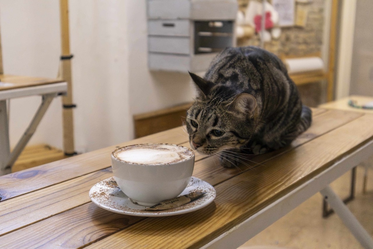 La Fábrica de Huellas