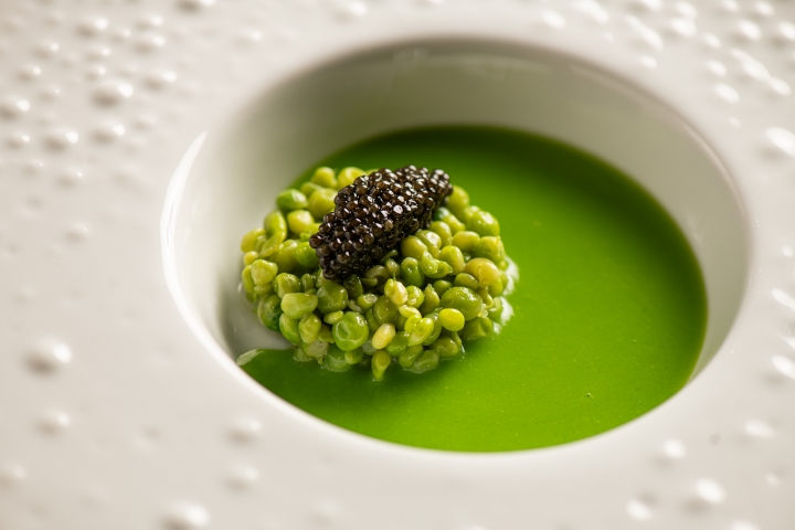 El Paladar by Zuriñe García