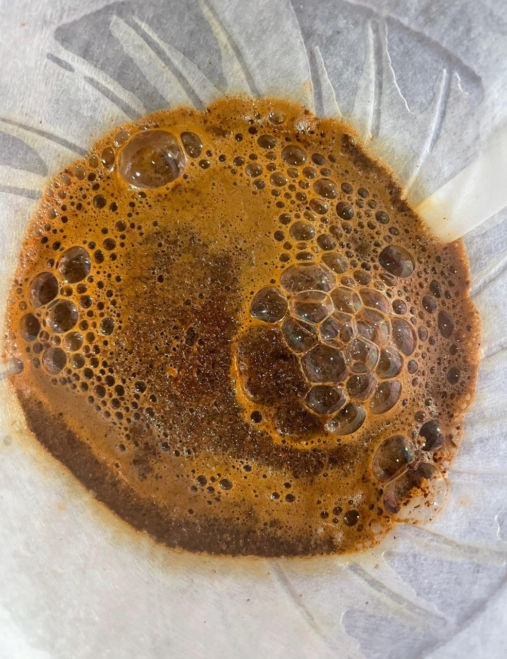 Café y Queso