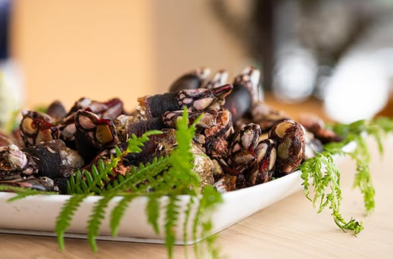 Aramendi Berria Aramendi Berria